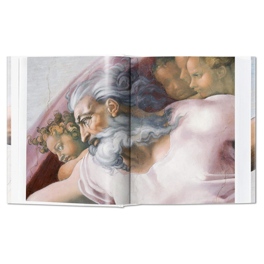 Michaelangelo The Complete Paintings