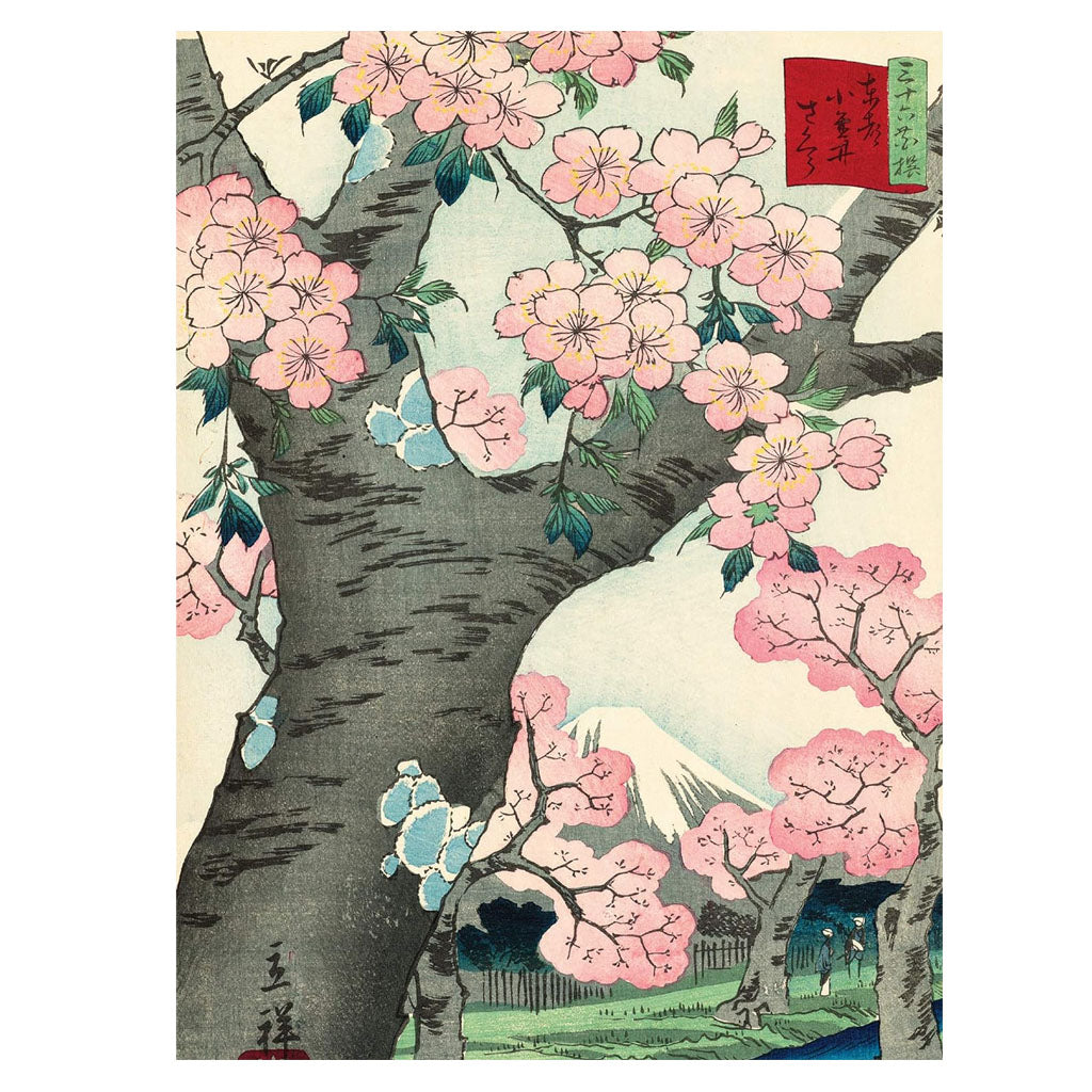 Cherry Blossom Note Card Folio