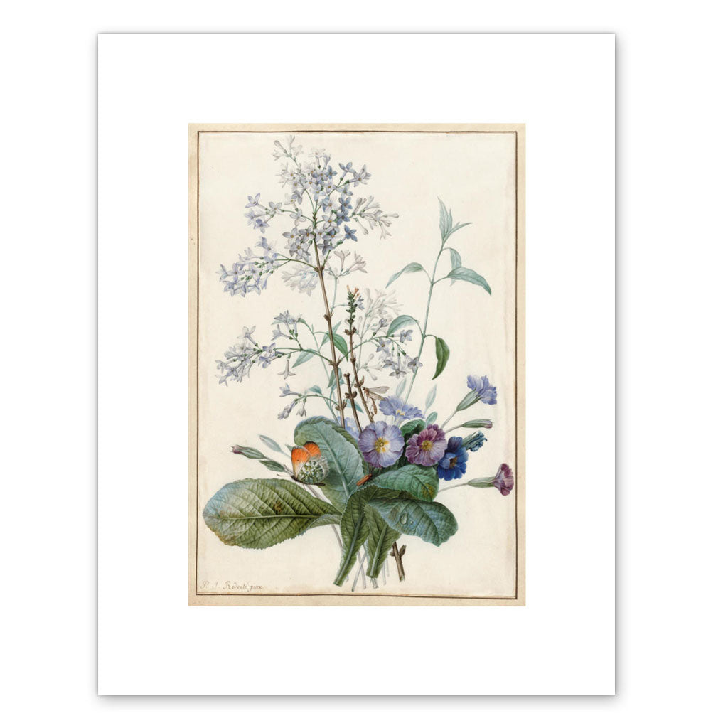 Pierre Joseph Redouté, A Bouquet of Flowers with Insects, 11 × 14