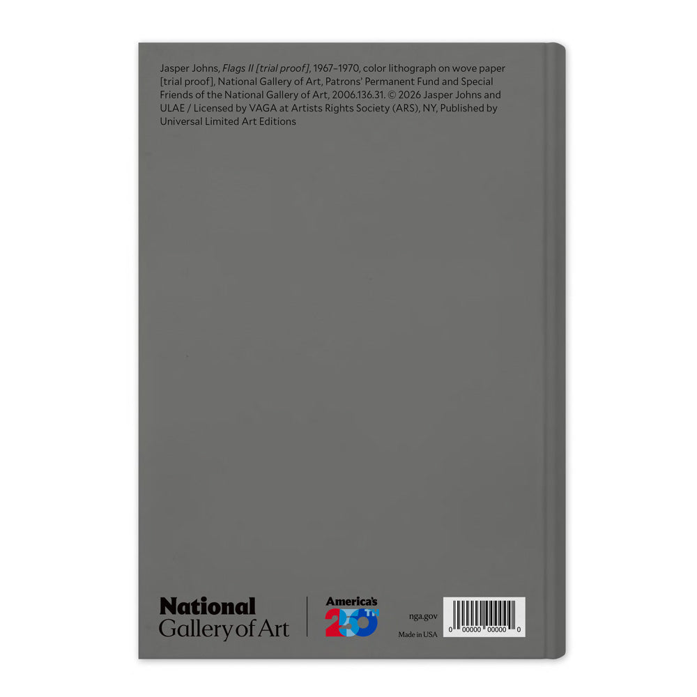 Jasper Johns, Flags II,  Notebook