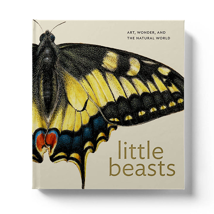 Little Beasts: Art, Wonder, and the Natural World