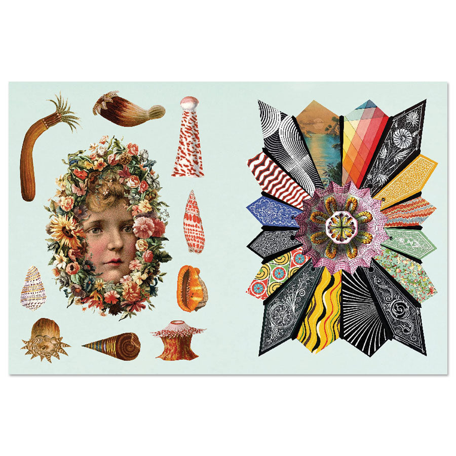 The Antiquarian Stickerbook: Imaginarium