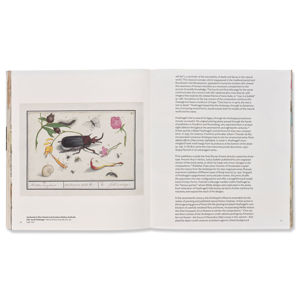 Little Beasts: Art, Wonder, and the Natural World