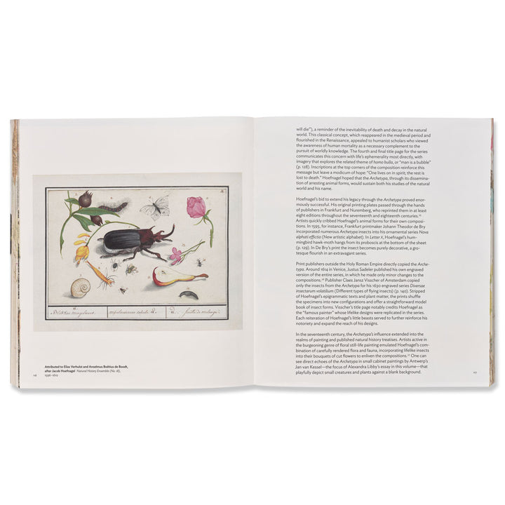 Little Beasts: Art, Wonder, and the Natural World