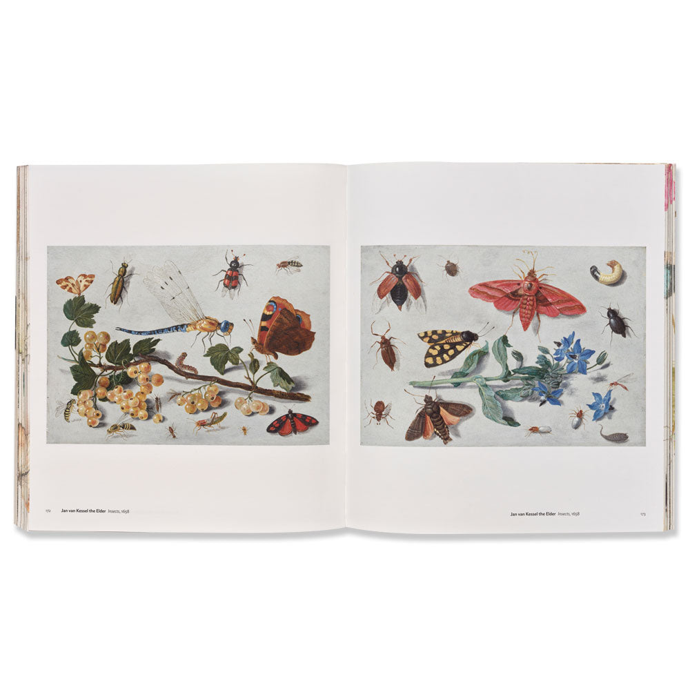 Little Beasts: Art, Wonder, and the Natural World