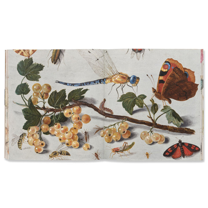 Little Beasts: Art, Wonder, and the Natural World