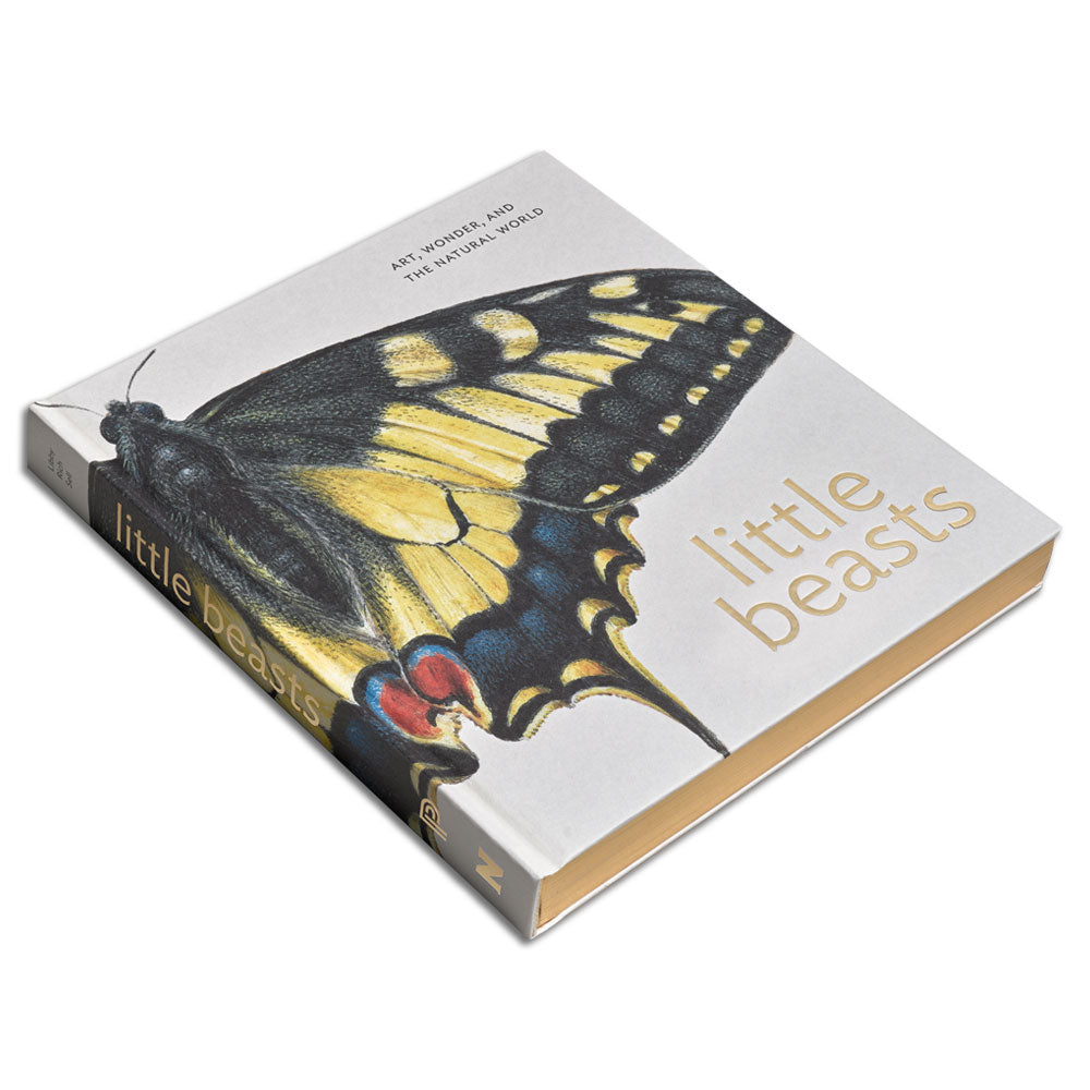 Little Beasts: Art, Wonder, and the Natural World