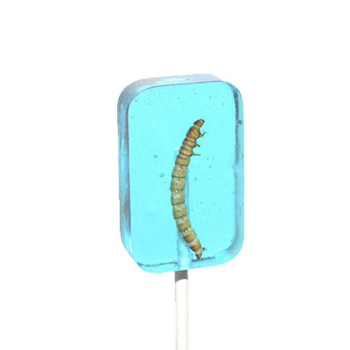 Worm Lollipop