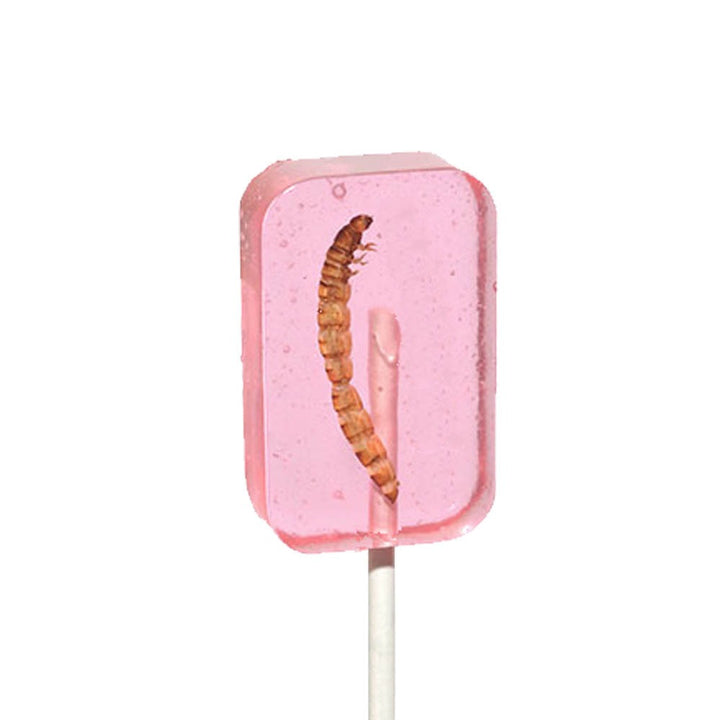 Worm Lollipop