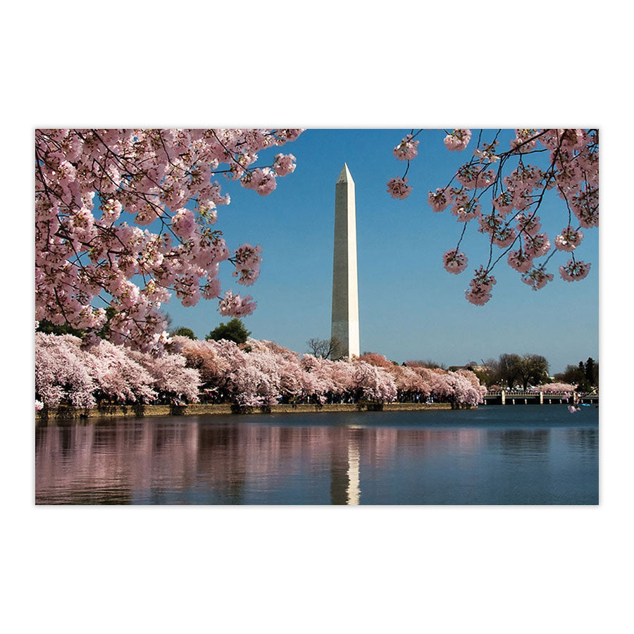 Cherry Blossoms Double-Sided Puzzle, 500 Pieces