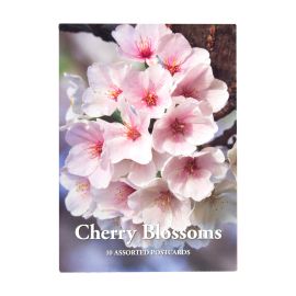 Cherry Blossom Postcard Portfolio