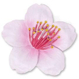 Cherry Blossom Resin Magnet