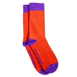 National Gallery of Art Logo Double-Sided Socks, Orange and Red